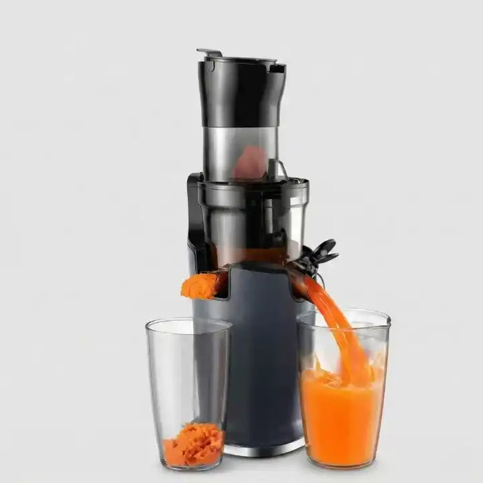 Hachoir extracteur de jus BioloMix presse à froid